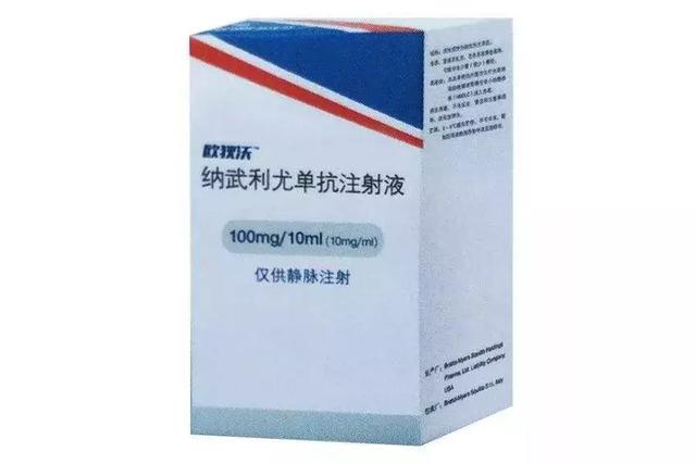  布莱顿日本边锋三笘薰重伤，赛季报销影响欧战征程  